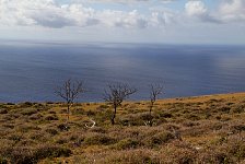 Easter Island Coast