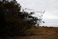 Top of Poike, Easter Island