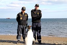 King Penguin in Punta Arenas with police guard