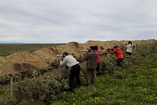 Birders at work