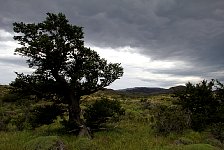 Torres Del Paine