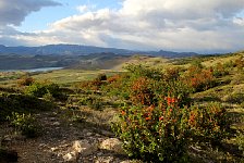 Torres Del Paine, early morning