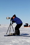 Photographing penguins