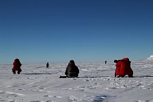 Photographing penguins