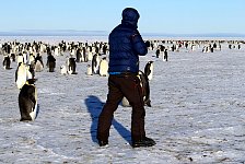 Emperor Penguin colonies, Antarctica