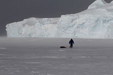 Walking to the penguin colony