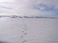 Walking around the camp