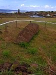 Easter Island Moais