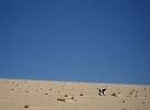 Jericoacoara dunes