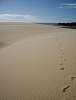 Jericoacoara dunes