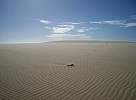 Jericoacoara dunes