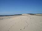 Scenery near Jericoacoara