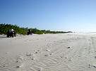 ATVs on beach