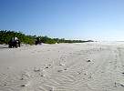 ATVs on beach