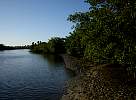 Small river in Brazil