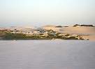 Dune near Jericoacoara