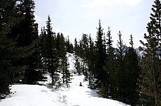 Banff mountain walk