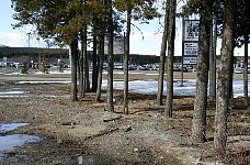 Gopher at Whitehorse airport