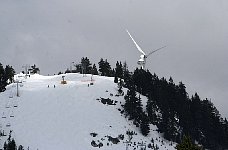 Grouse Mountain