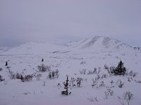 Tombstone Mountain area