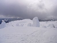 Revelstoke snowmobiling