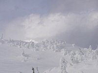 Revelstoke snowmobiling