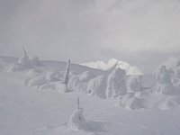 Revelstoke snowmobiling