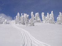 Revelstoke snow