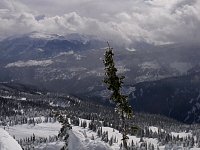 Revelstoke snowmobiling