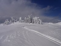 Revelstoke snowmobiling