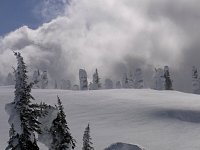 Revelstoke snowmobiling