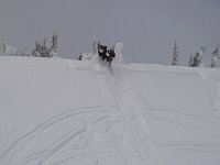 Revelstoke snowmobiling