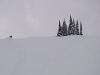 Snowmobiling Revelstoke