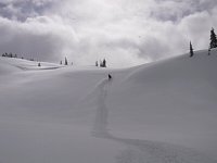 Snowmobiling Revelstoke