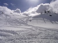 Snowmobiling Revelstoke