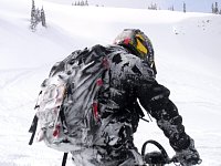 Snowmobiling Revelstoke