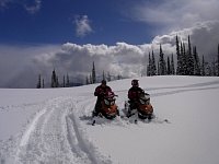 Snowmobiling Revelstoke