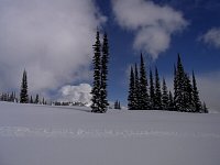 Snowmobiling Revelstoke