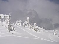 Snowmobiling Revelstoke