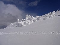 Snowmobiling Revelstoke