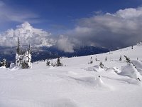 Snowmobiling Revelstoke