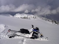 Snowmobiling Revelstoke