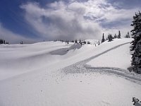 Snowmobiling Revelstoke