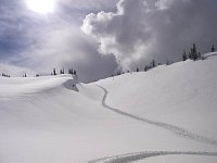 Snowmobiling Revelstoke