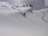 Snowmobiling Revelstoke