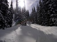 Snowmobiling Revelstoke