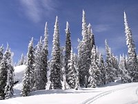 Snowmobiling Revelstoke