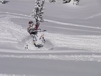 Revelstoke snowmobiling