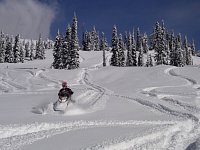 Revelstoke snowmobiling