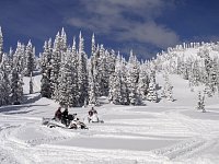 Revelstoke snowmobiling